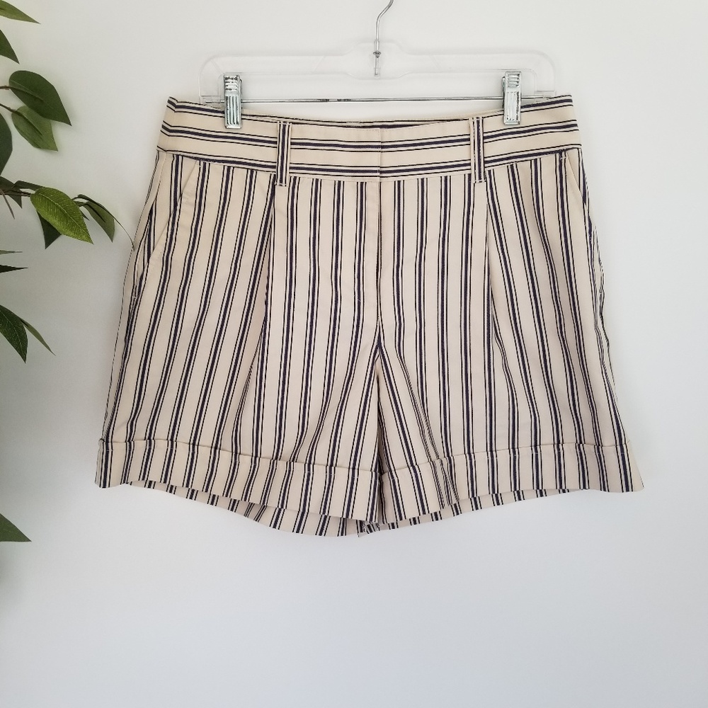 ⭐ 3/$20 Ann Taylor Blue & Cream Striped Shorts